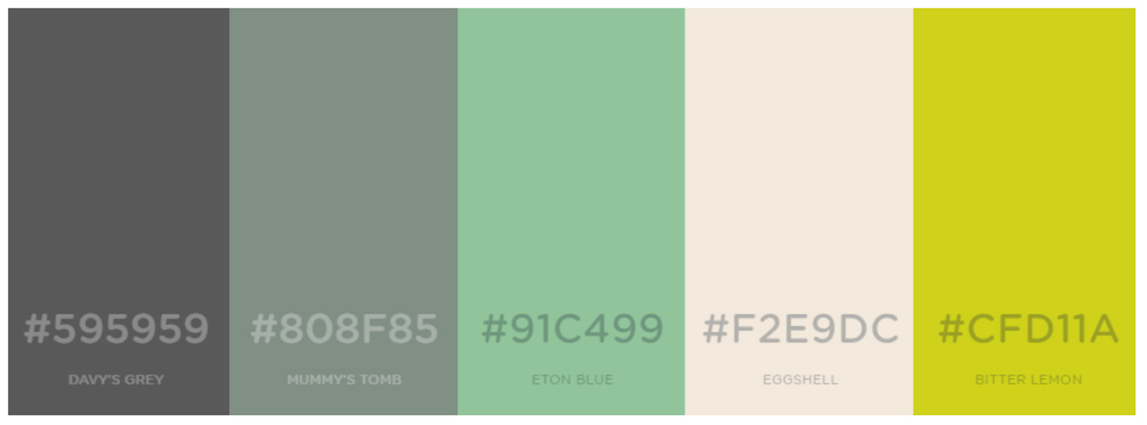 Example of a brand color palette